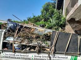 Best Hoarding Cleanup  in Denison, TX